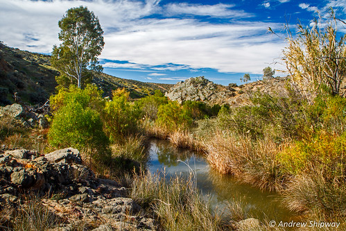 bushwalking landscape baldinacreek nationalpark deh waterhole burra dewnr redbanksconservationpark southaustralia baldina