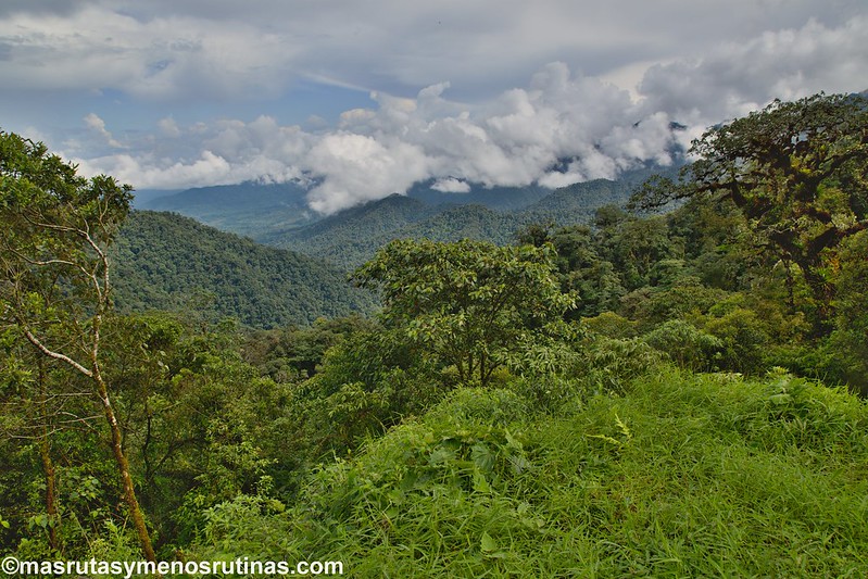 Cascadas, bosques nubosos y selva. Baños y la Troncal amazónica - Acuavacaciones en Galápagos y Ecuador (14)