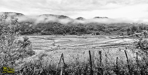 panorama bw landscape padi field phonsavan monochrome