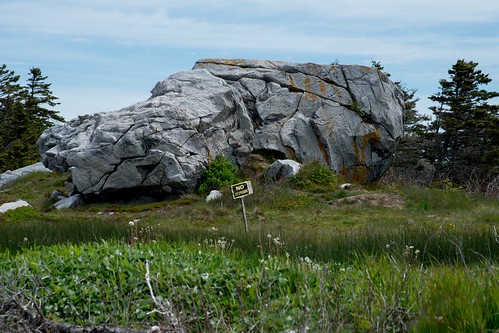yarmouth novascotia canada ca ns overton overtonrock overtonstone petroglyph rockcarving oakisland curseoakisland