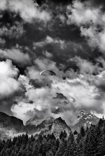 bw blackandwhite bnw chamrousse cloud sky montains forest paraglider parachute oneperson outdoor adventure people extremesport realpeople landscape