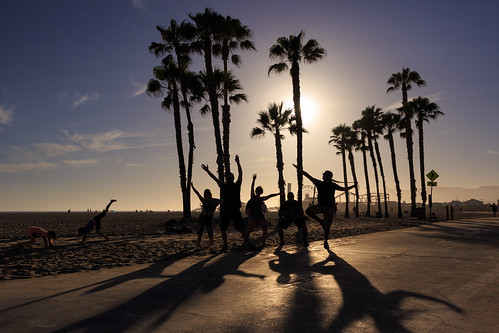 santamonicabeach beach usa palmtree landscape sunset sand backlight santamonica california étatsunis us