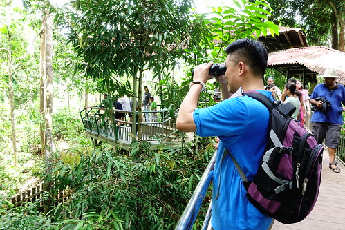 馬來熊保育中心