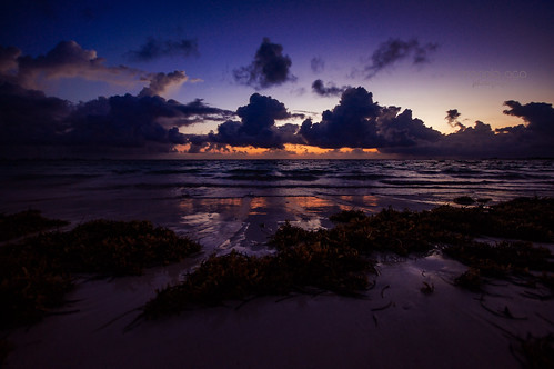 puntacana dominicanrepublic atlanticocean morning dawn sky sunrise light glow clouds ocean water waves shoreline beach seaweed wet sand reflection wideangle sigma1020mm saariysqualitypictures