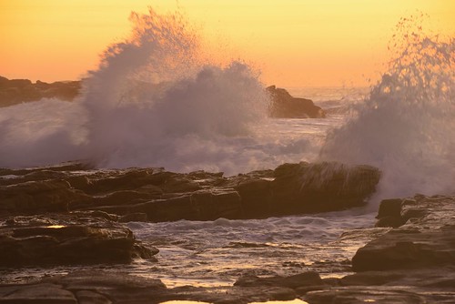 aus australia newsouthwales swanseaheads nikond750 seascape chalkybeach sunrise goldenlight