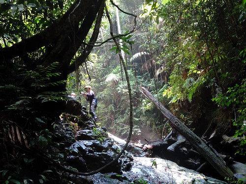malaysia asia waterfall jungle hike kotatinggi