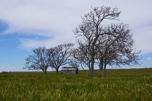 california ca usa clouds trees shack weeds sanluisobispocounty