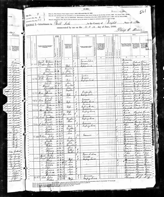 1880 United States Census page 8