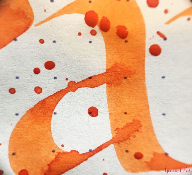 Ink Shot Review Abraxas Orange of Switzerland @laywines 8