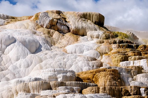 yellowstone geothermal geyser spring mammoth nature landscape salt unitedstates usa park