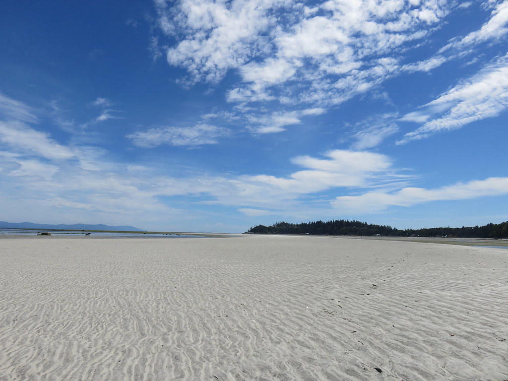 A day at the beach in the Comox valley.