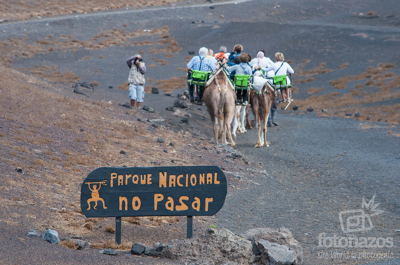 Echadero de los Camellos en Timanfaya, Lanzarote