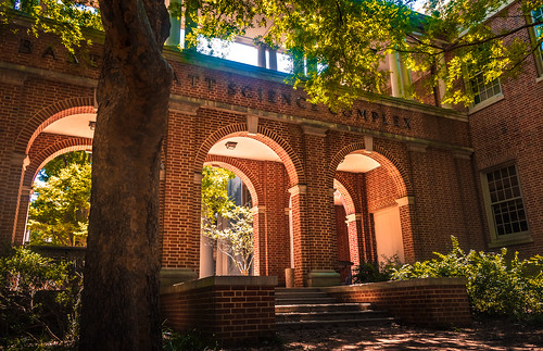 america unitedstates usa us travel college campus davidson arch way bright golden brick red yellow green tree leaves leaf sky ground path bricks building old majestic writing engraving undergraduate landscape