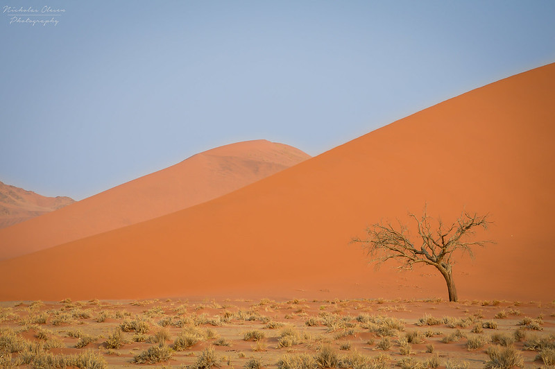 Namibia | Namib-Naukluft Desert