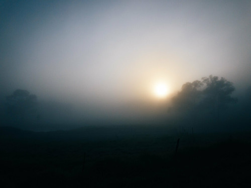 appleiphone7 australia equipment fog landscapes newsouthwales places schofields sunrise sydney things trees