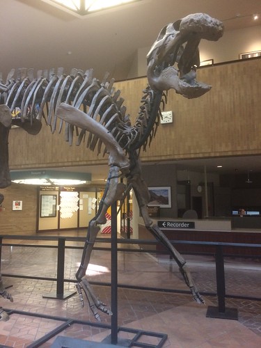 Dino in the County Building