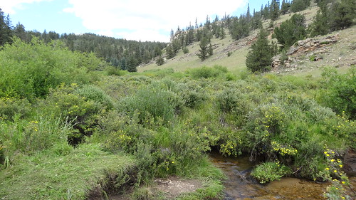 chfstew colorado coloradotrail hiking trail segment5 landscape