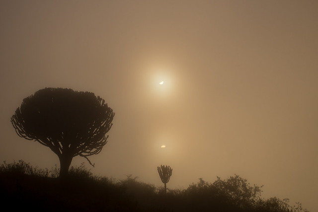Sun and Fog Reflected - Ngorongoro Crater