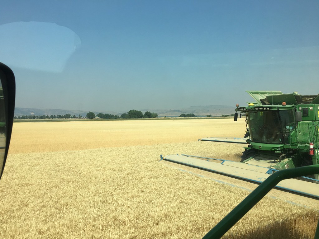 High Plains Harvesting 2017 (Willem)