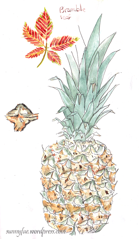 pineapple sketch