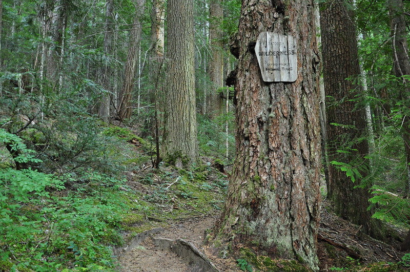 Tatoosh Trail