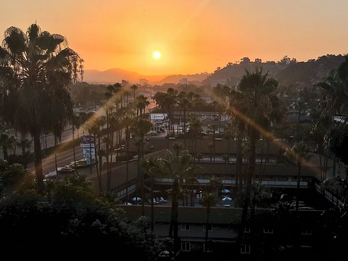 palmtrees san diego southern california morning sunrise sunburst lens flare