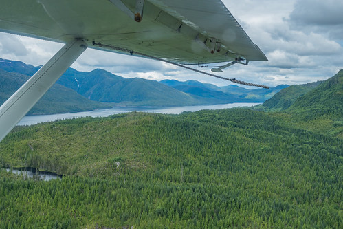 alaska aerialviews ketchikan mistyfjordsnationalmonument nationalparkmonuments alaskacruise unitedstates usa clouds
