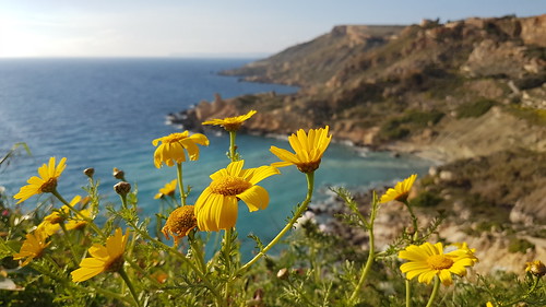 malta landscape