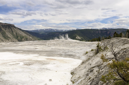 yellowstone national park us usa west western landscape color colorful wyoming sightseeing tour tourist mammoth hot springs upper terrace geyser