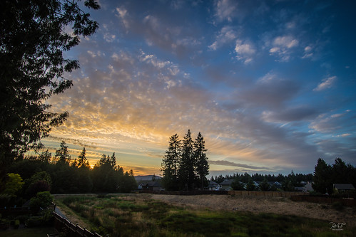 sony sonya7m2 a7m2 sunset summer millbay millbaybc cowichanvalley cowichan cobblehill bc britishcolumbia vancouverisland canada field clouds cloud tree trees evening