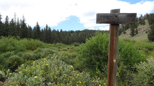 chfstew colorado coloradotrail hiking trail segment5 landscape trailsign