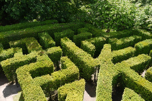 Yew Maze
