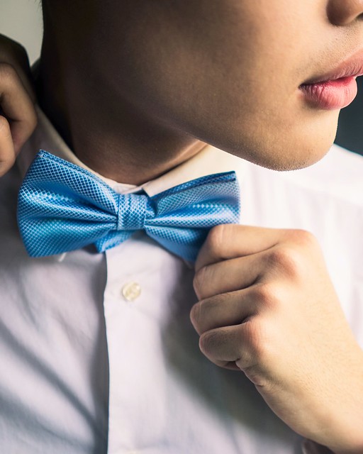 The Little Link Curtis Bow Tie
