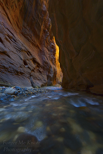 zion zionnationalpark utah desert canyon zioncanyon slotcanyon light glow virginriver river creek stream wallstreet water rocks