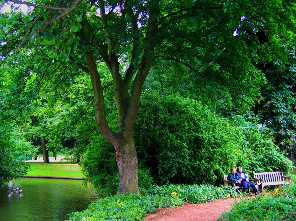 Oxford Botanic Garden. Credit JR P, flickr