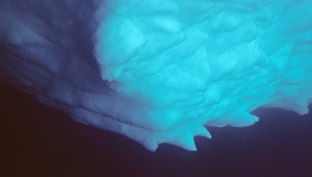 The underside of a large piece of sea ice.