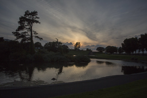 evening reflection blackrock park pond silhouettes water sunset