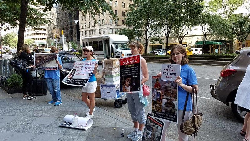 The Animals' Battalion 'Boknal' Demo at the New York Korean Consulate July 12, 2017