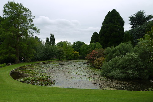 The Lake Garden