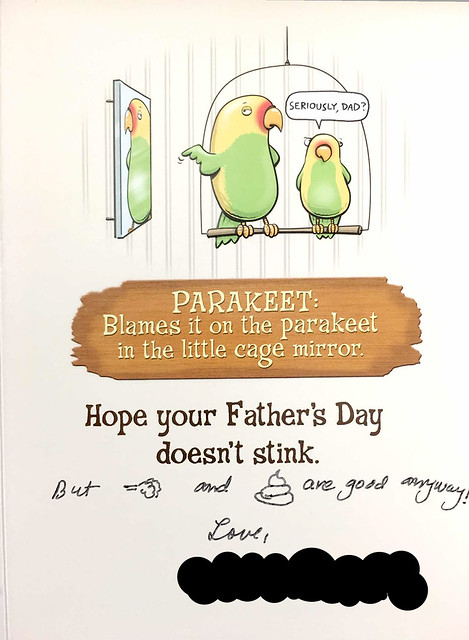 Dad's Fathers' Day card 2017-5