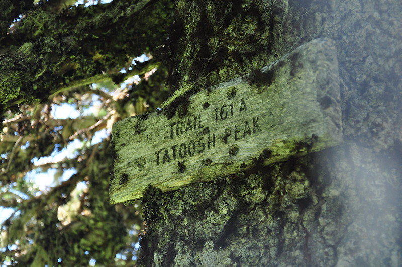 Tatoosh Trail