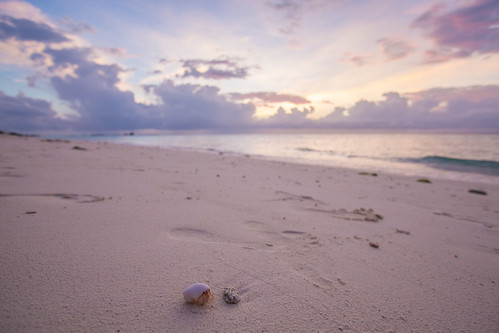 maldives sunset beach sand