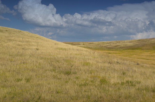 monarch dry prairie landscape アルバータ州 alberta canada カナダ 7月 七月 文月 shichigatsu fumizuki bookmonth 2017 平成29年 summer july