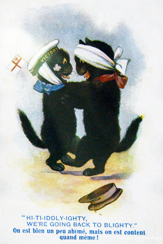 Открытка из коллекции "Коты в Первой мировой войне"