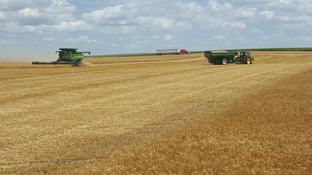 Schemper 2017 - South Dakota Wheat Harvest