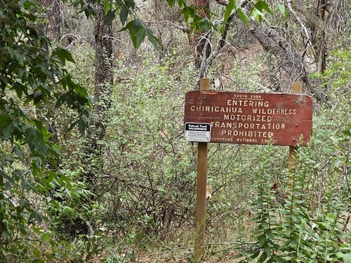 Beginning of Chiricahua Wilderness Trail, South Fork of Cave Creek, AZ
