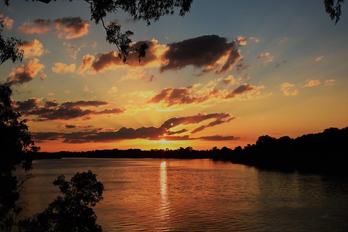 sunset bluesky bundaberg goldensunset goldenhour clouds water burnettriver gumtrees mangrovetree reflections dusk twilight nikon d7200 tamronsp2470mmf28divcusd queensland australia topf25 1500v60f