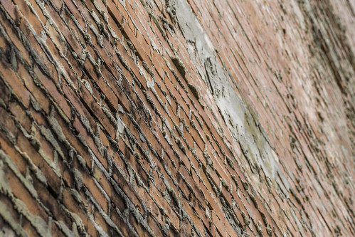 fortbendcounty houston imperialsugar sugarland texas usa bricks decay decaying historic image industry landmark old photo photograph wall f71 mabrycampbell may 2017 may302017 20170530campbellh6a4301 100mm ¹⁄₁₀₀sec 100 ef100mmf28lmacroisusm