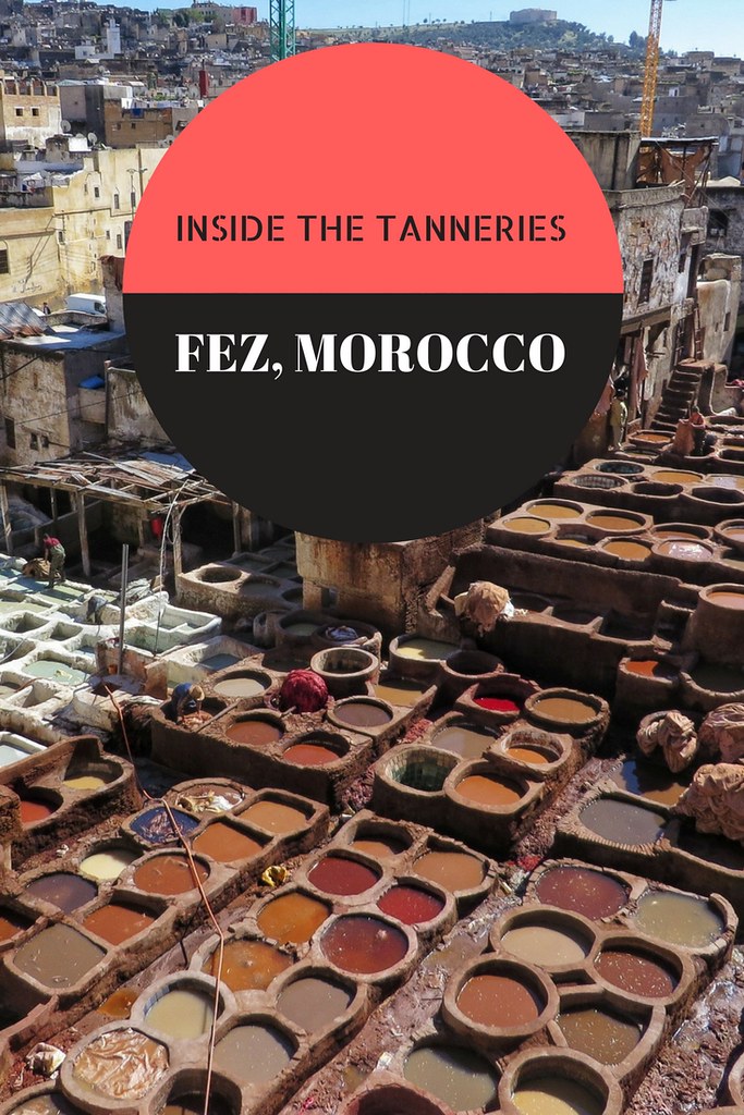 Inside The Leather Tanneries of Fez, Morocco | www.FloraTheExplorer.com