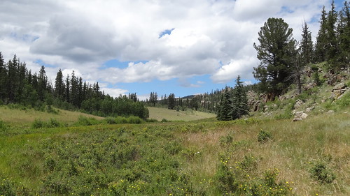 chfstew colorado coloradotrail segment5 hiking trail landscape